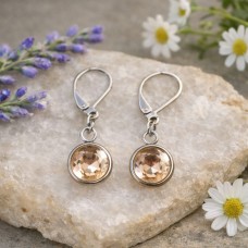 10mm Stainless Steel Round Dangle Earrings - Champagne 