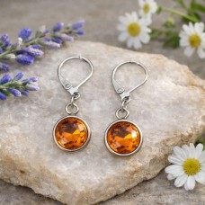 10mm Stainless Steel Round Dangle Earrings - Bronze 
