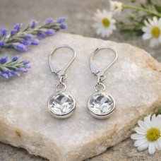 10mm Stainless Steel Round Dangle Earrings - Crystal