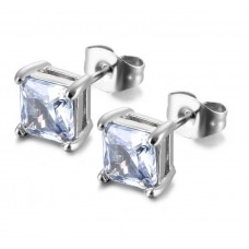 6mm Stainless Steel Cubic Stone Stud Earrings