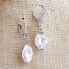 Stainless Steel Oval Dangle Earrings